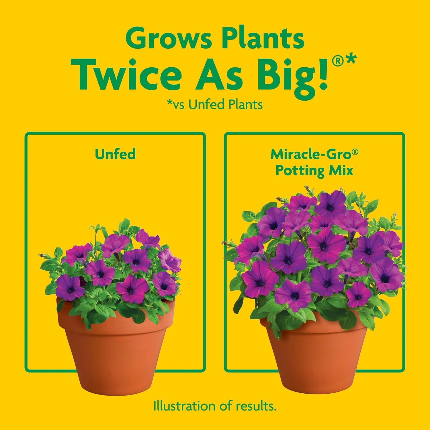 Miracle-Gro Potting Mix, For Container Plants, Flowers, Vegetables, Shrubs, Annuals, Perennials, Feeds up to 6 Months, 8 qt., 2-Pack