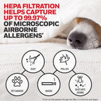 Honeywell HEPA Air Purifier Filter Replacement Kit for HPA300, HPA3300, HPA5300, HPA8350 series Air Purifiers, Value Combo Pack Includes 3 HEPA R & 4 A Carbon Pre-Cut Pre-Filters