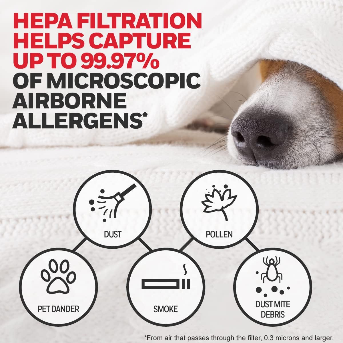 Honeywell HEPA Air Purifier Filter Replacement Kit for HPA300, HPA3300, HPA5300, HPA8350 series Air Purifiers, Value Combo Pack Includes 3 HEPA R & 4 A Carbon Pre-Cut Pre-Filters