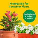 Miracle-Gro Potting Mix, For Container Plants, Flowers, Vegetables, Shrubs, Annuals, Perennials, Feeds up to 6 Months, 8 qt., 2-Pack