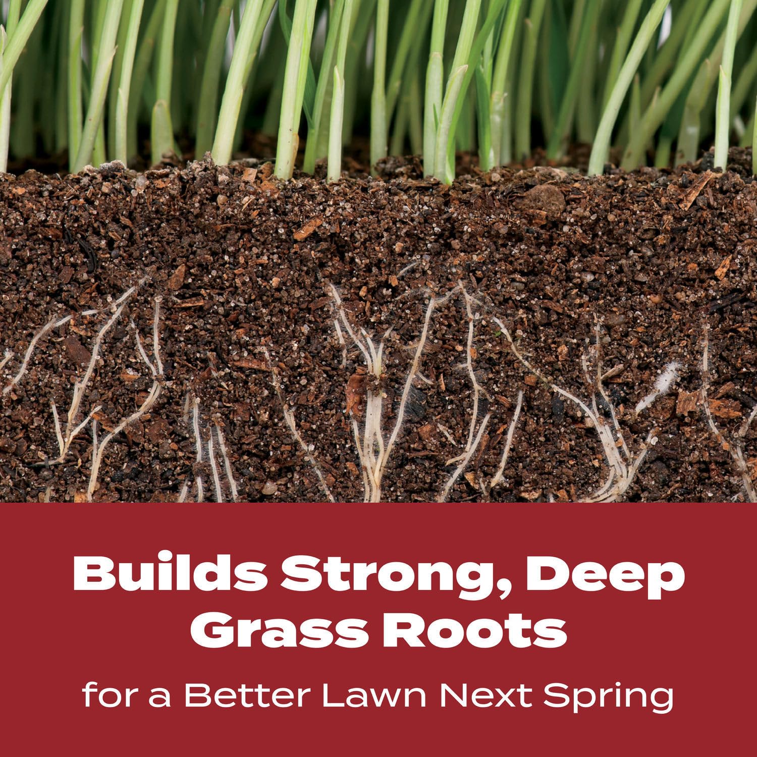 Scotts Turf Builder WinterGuard Fall Lawn Fertilizer for All Grass Types, 4,000 sq. ft., 10 lbs.