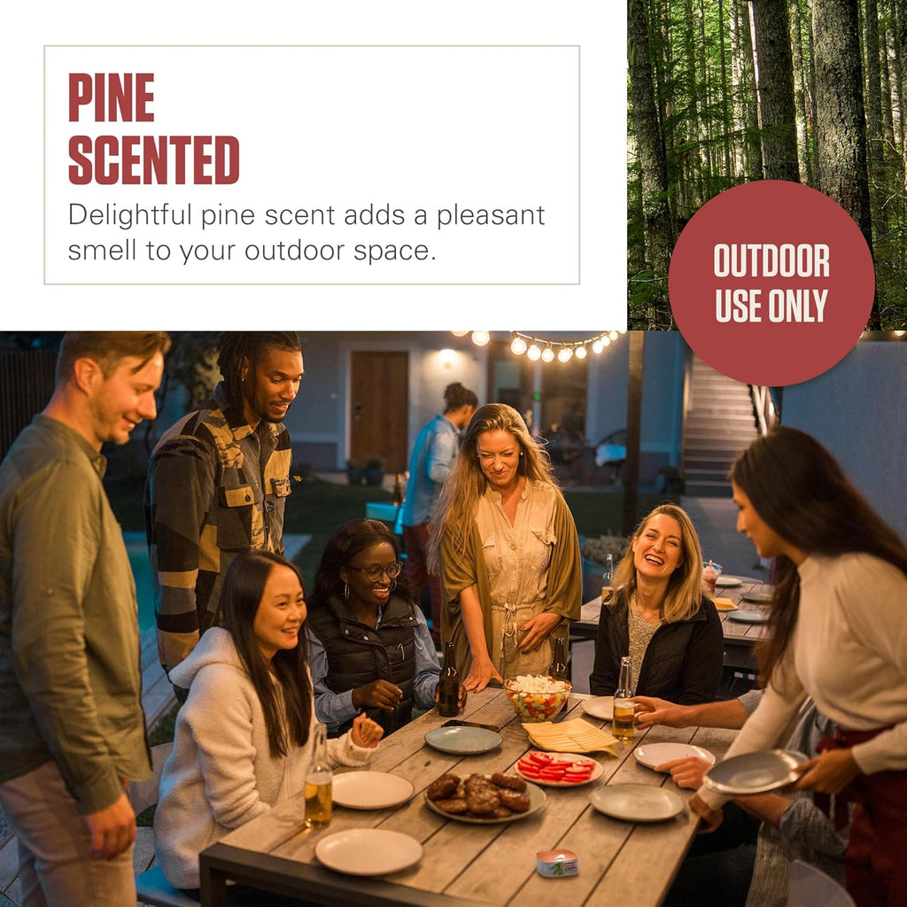 Coleman Pine Scent Citronella Candle with Wooden Crackle Wick - 6 oz