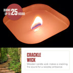 Coleman Pine Scent Citronella Candle with Wooden Crackle Wick - 6 oz