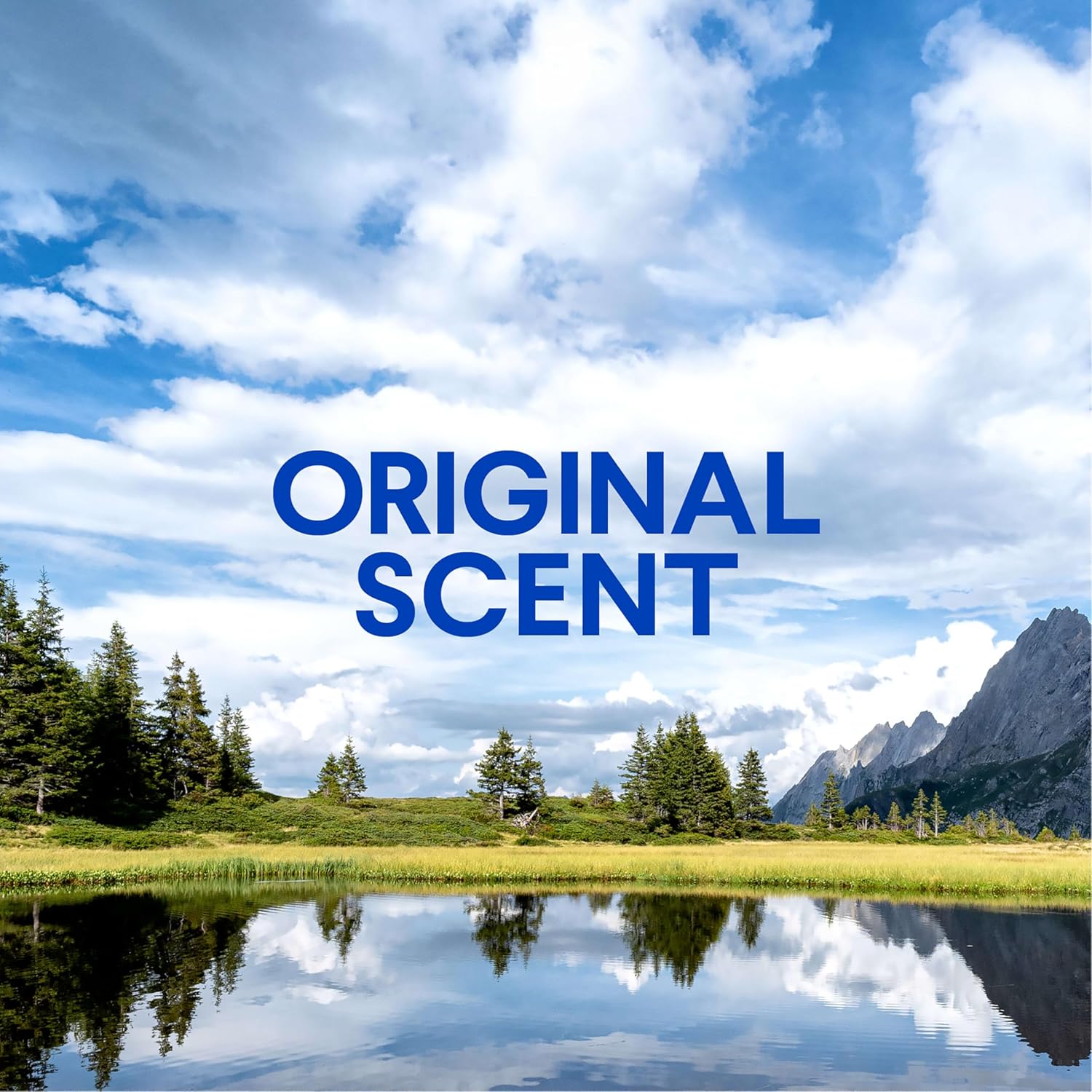 Clorox Clean-Up Multi-Surface Cleaner with Bleach, Original, Spray Bottle, 32 Fl Oz., Pack of 3