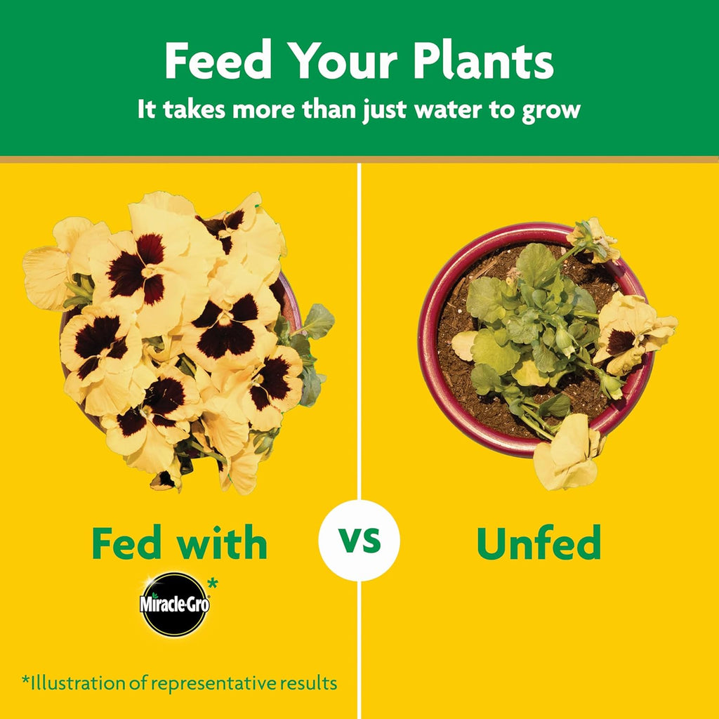 Miracle-Gro Water Soluble All Purpose Plant Food, For All Indoor or Outdoor Plants, Roses, Flowers, Vegetables, Houseplants, Trees, and Shrubs, 1.5 lbs