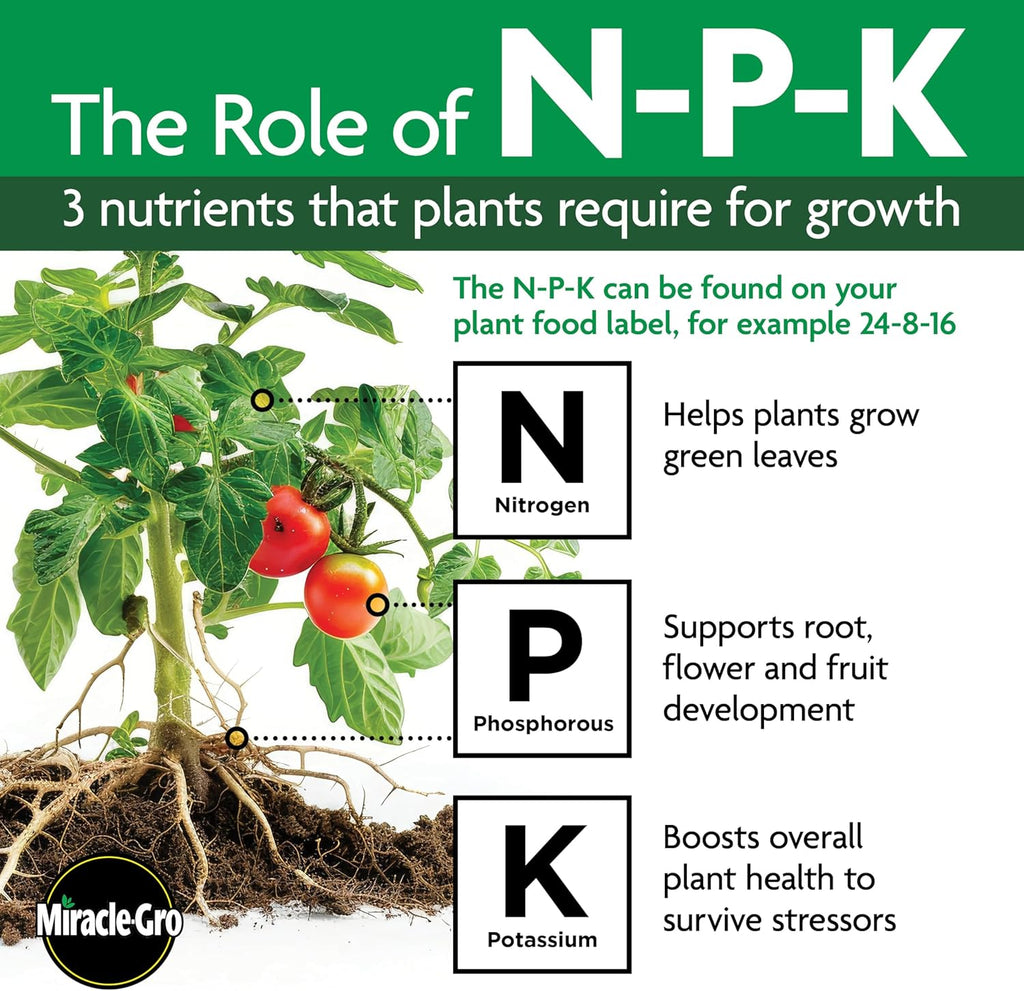 Miracle-Gro Water Soluble All Purpose Plant Food, For All Indoor or Outdoor Plants, Roses, Flowers, Vegetables, Houseplants, Trees, and Shrubs, 1.5 lbs