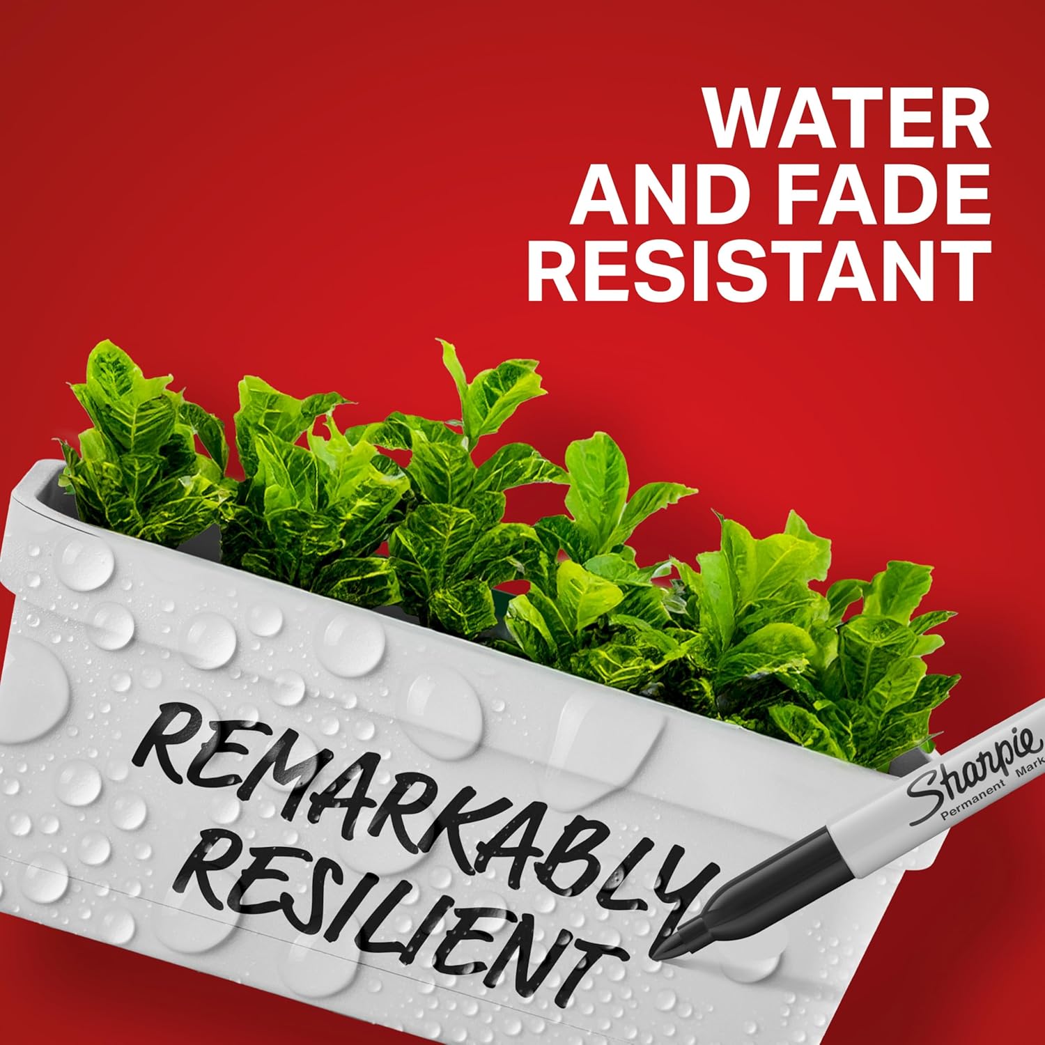 Sharpie Permanent Markers Variety Pack, Includes Chisel, Fine, and Ultra-Fine Tips, Marker Set, Writing, Coloring, Poster, Office, School Supplies, Black, 6 Count