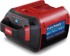 Toro 60V MAX* Flex-Force 10.0 Ah Lithium-Ion Battery