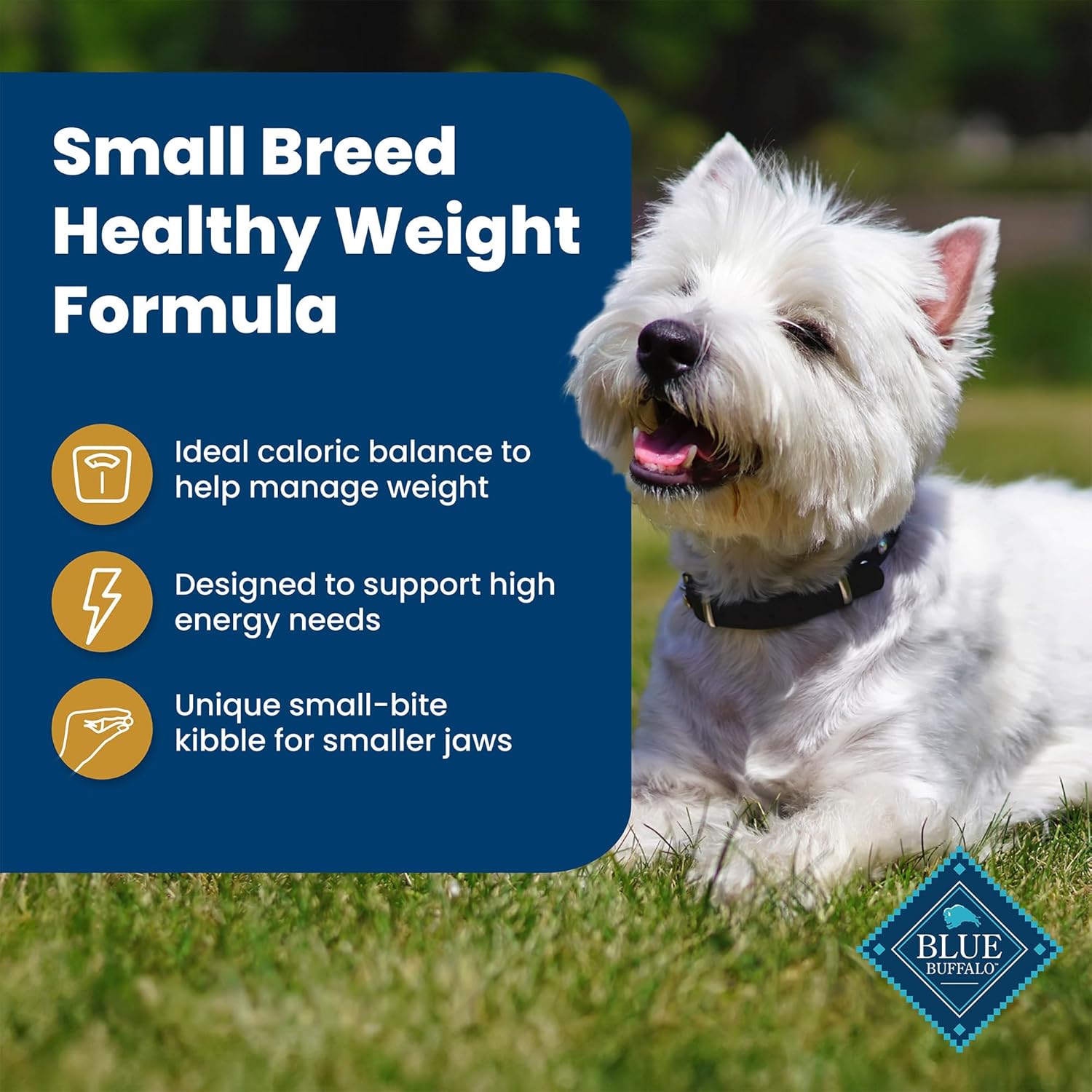 Blue Buffalo Life Protection Formula Healthy Weight Natural Small Breed Dry Dog Food, Supports an Ideal Weight, Made with Natural Ingredients, Chicken & Brown Rice Recipe, 15-lb Bag