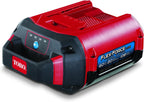 Toro 60V MAX* Flex-Force 10.0 Ah Lithium-Ion Battery