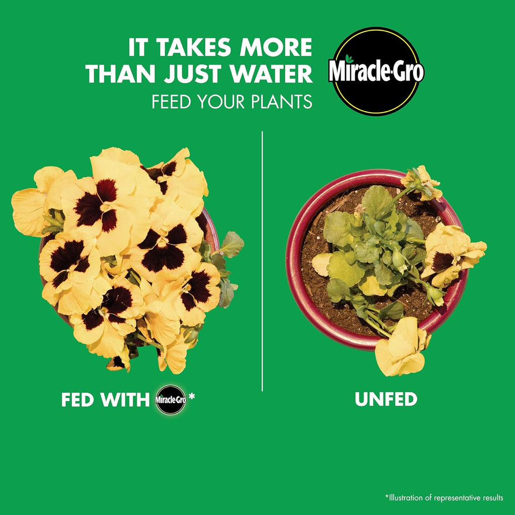 Miracle-Gro Watering Can Singles All Purpose Water Soluble Plant Food, For Flowers, Vegetables, Houseplants, Trees, Indoor and Outdoor Plants, 24 Packets