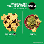 Miracle-Gro Watering Can Singles All Purpose Water Soluble Plant Food, For Flowers, Vegetables, Houseplants, Trees, Indoor and Outdoor Plants, 24 Packets