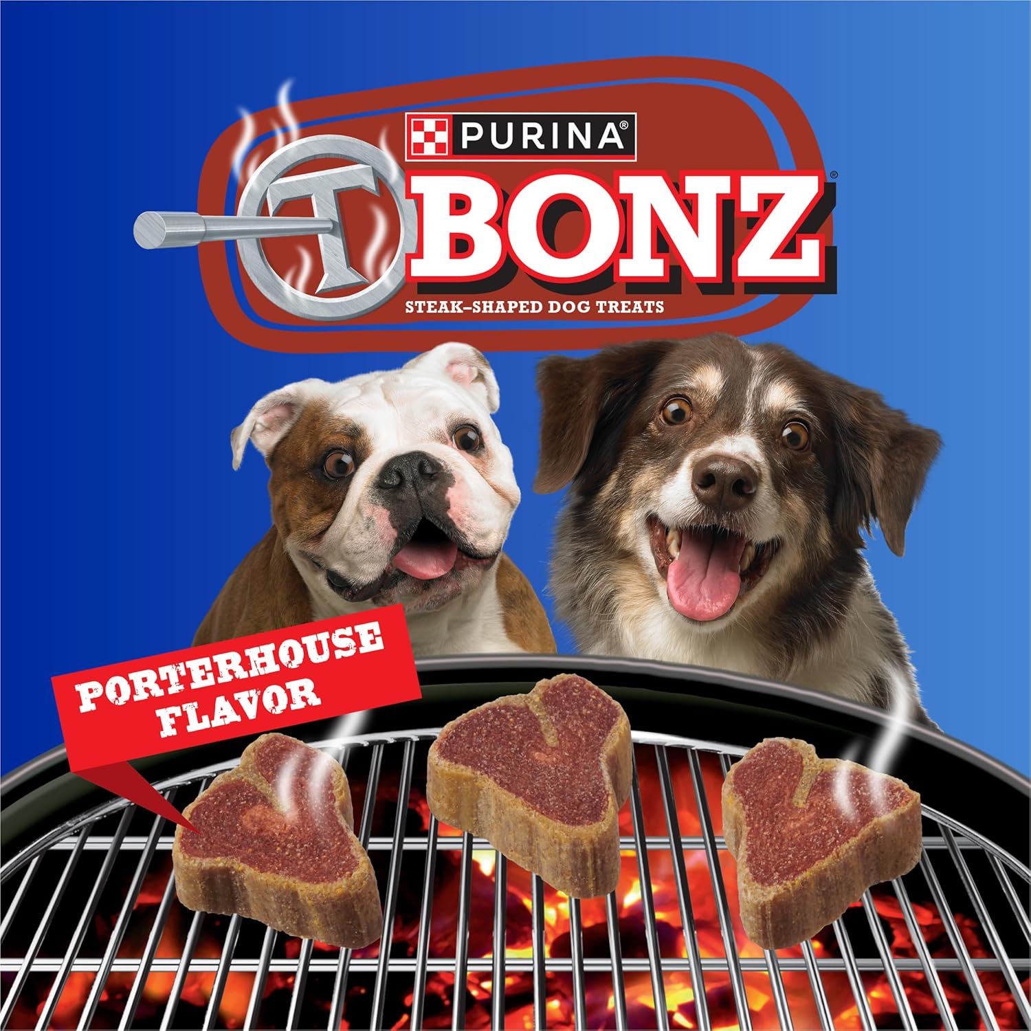 Purina T-Bonz Porterhouse Flavor Steak Shaped Treats for Dogs - 45 oz. Pouch