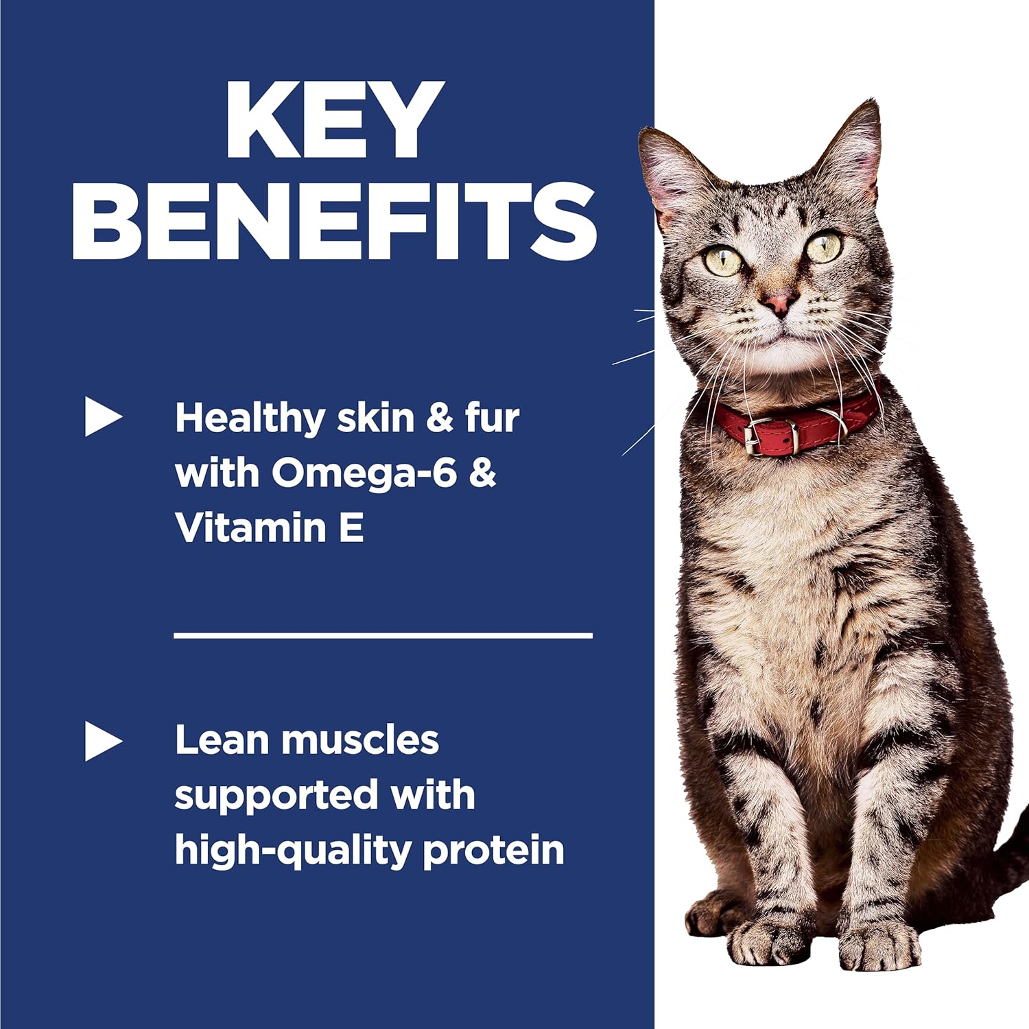 Hill's Science Diet Adult 1-6, Adult 1-6 Premium Nutrition, Dry Cat Food, Chicken Recipe, 7 lb Bag