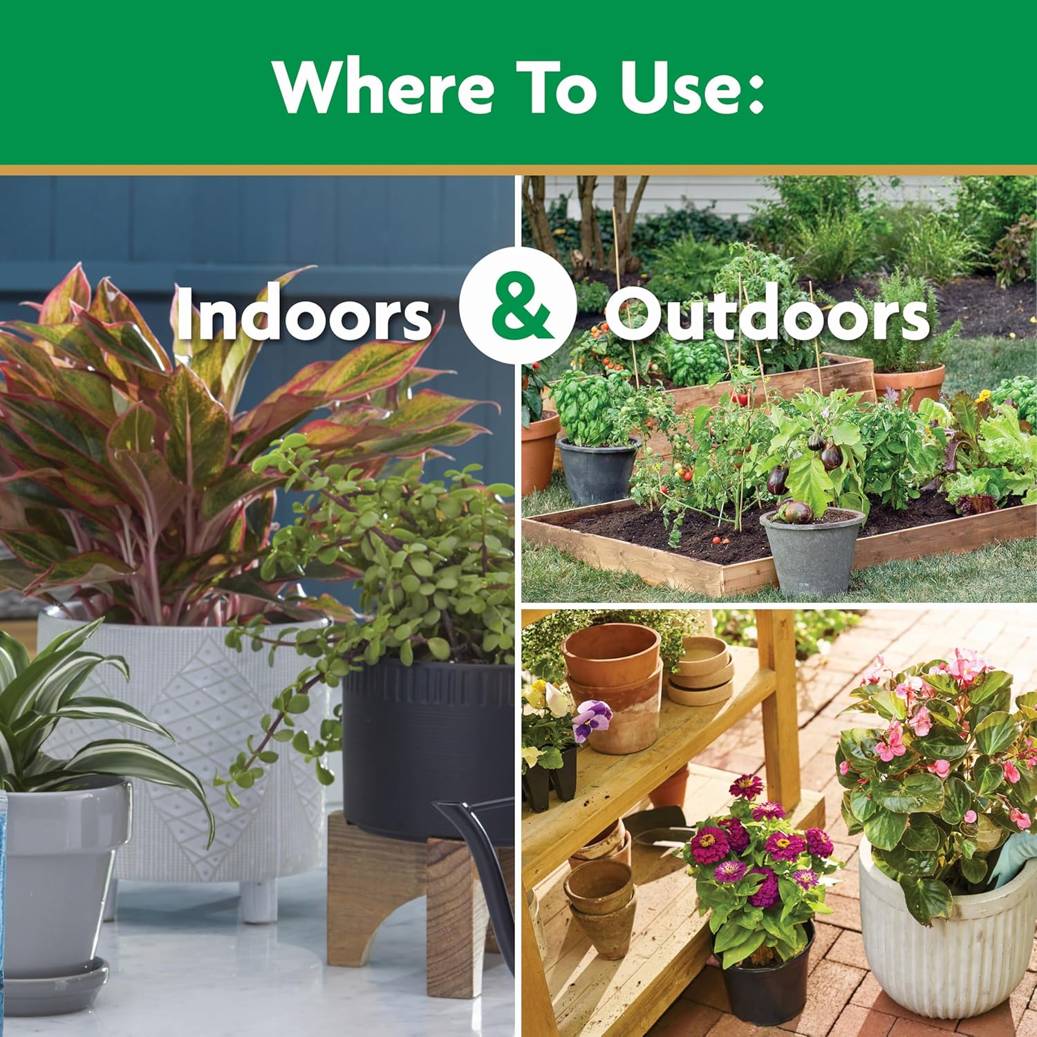 Miracle-Gro Water Soluble All Purpose Plant Food, For All Indoor or Outdoor Plants, Roses, Flowers, Vegetables, Houseplants, Trees, and Shrubs, 1.5 lbs